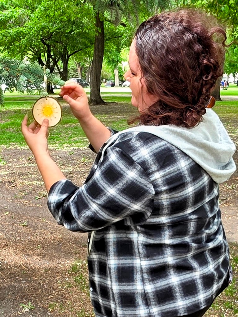 my beautiful photographer hanging a wooden ornament with a bejeweled sun on it on a tree